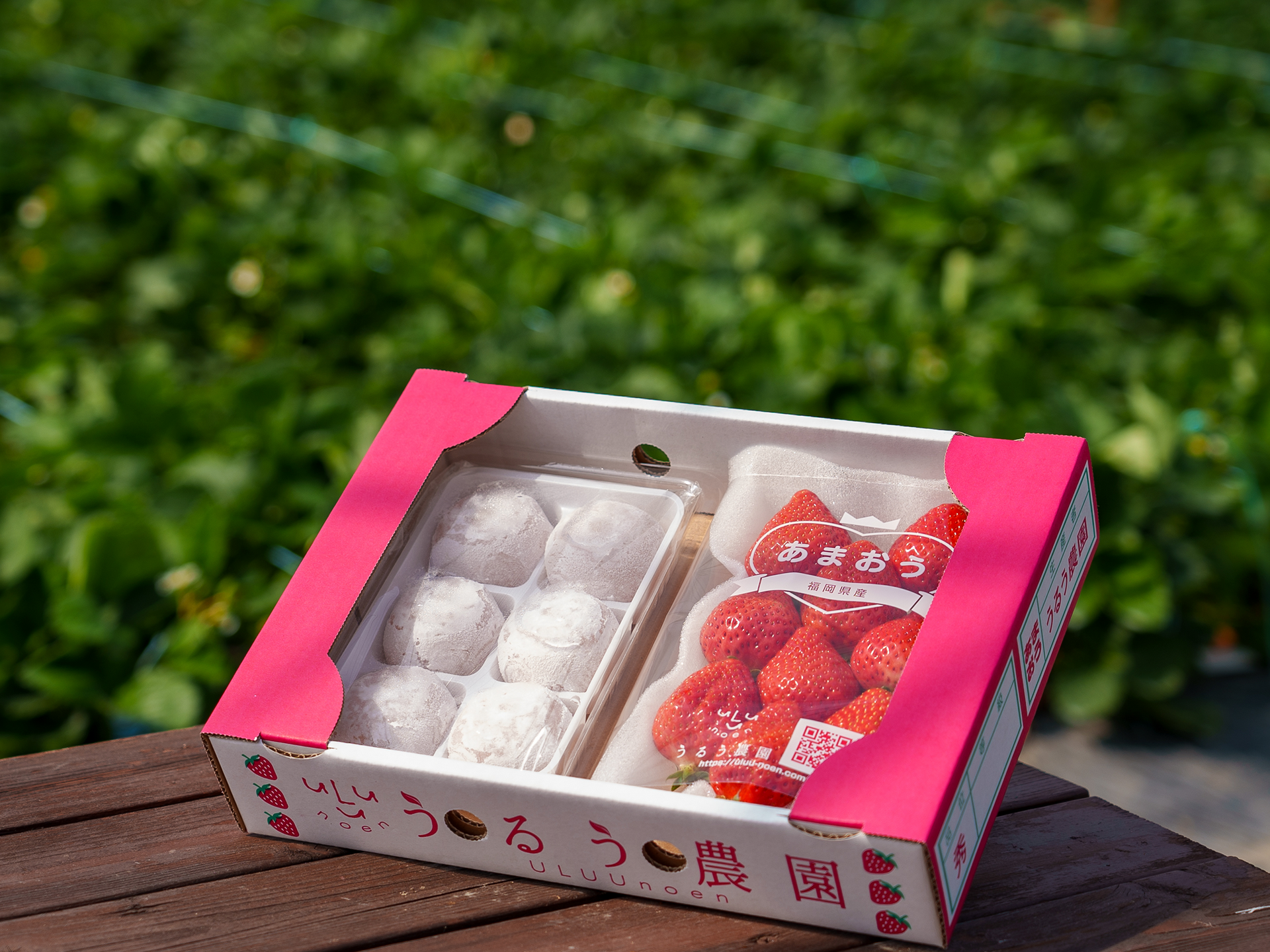 Uluu Japan 福岡ストロベリーパーク あまおう 大福セット